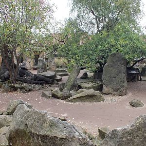 View of African Area