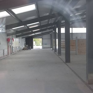 Progess on Black Rhinoceros development, 28th April 2015