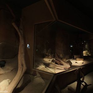 Honey Badger Indoor Area