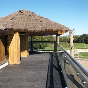 Black Rhinoceros exhibit open, 8th October 2015