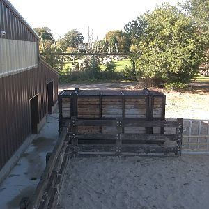 Black Rhinoceros exhibit open, 8th October 2015