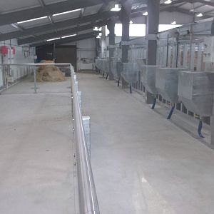 Interior of Black Rhinoceros House, 8th October 2015