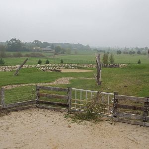 Browse in place for Black Rhinoceroses, 27th October 2015