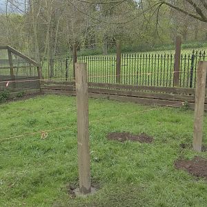 Work on the Raccoon Dog exhibit extension had commenced, 6th May 2015