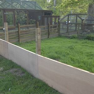 Progress on the Raccoon Dog exhibit extension, 13th May 2015