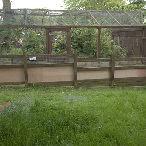 Progress on the Raccoon Dog exhibit extension, 27th May 2015