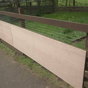 Progress on the Raccoon Dog exhibit extension, 27th May 2015