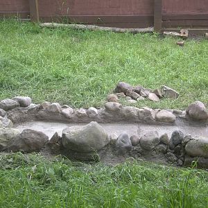 Progress on the Raccoon Dog exhibit extension, 16th June 2015