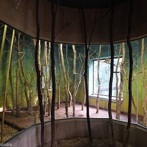 Talapoin Indoor Enclosure