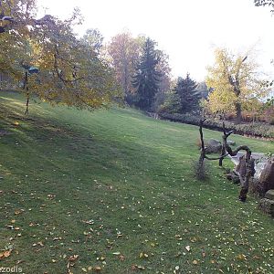 Sitatunga and Southern Ground Hornbill Paddock