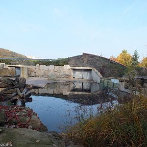 View of the Hippo House from Outside