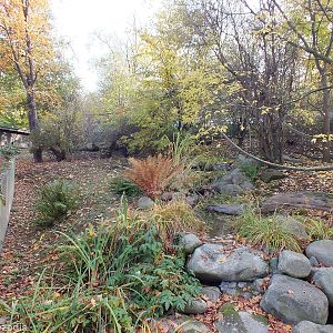 Coati and Patagonian Mara Enclosure