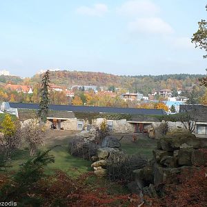 African Hoofstock Enclosures