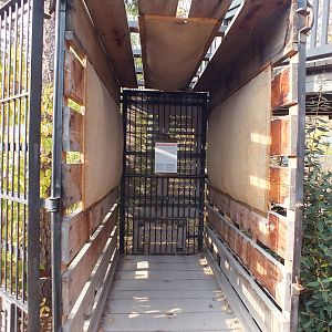 Elephant travel Crate