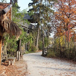 Pathway around 'Elephant Valley'