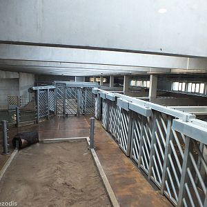 Off-exhibit Elephant holding