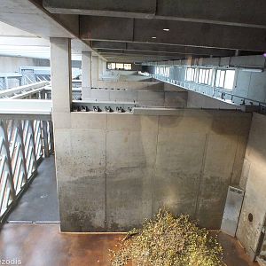 Off Exhibit Elephant Holding