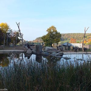 View of part of Asian Elephant Enclosure