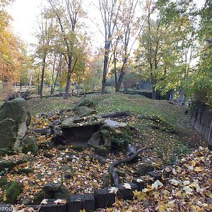 Brown Hyaena Enclosures