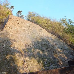 One of the Hillside Hoofstock Enclosures.