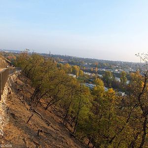 One of the Hillside Hoofstock Enclousures