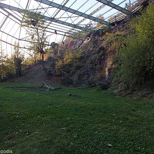 Large Bird of Prey Aviary