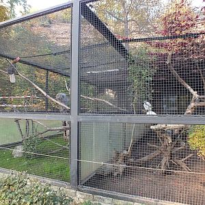 Example Pheasantry Enclosures