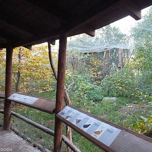 View inside one of two European Bird Aviaries