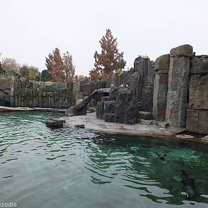 Fur Seal Enclosure