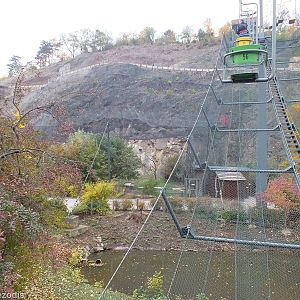 View from the Chairlift