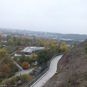 View from the Chairlift