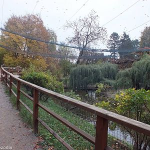 Large Walkthrough Waterfowl Aviary