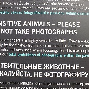 Necessary or Over the top?