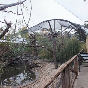One of the Wetland Bird Aviaries