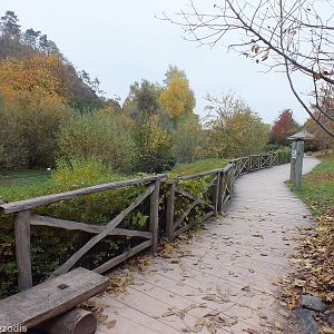 View in the Wetland Birds section