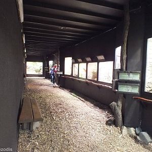 View of the Terrarium