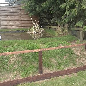 New pond completed for 2015 season, 14th April 2015