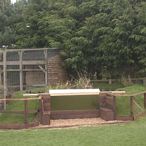 New pond completed for 2015 season, 14th April 2015