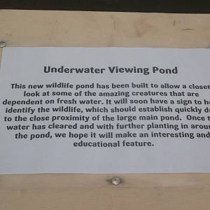 New pond signage, 14th April 2015