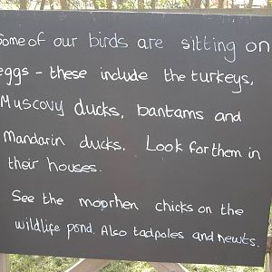 Signage, 12th May 2015