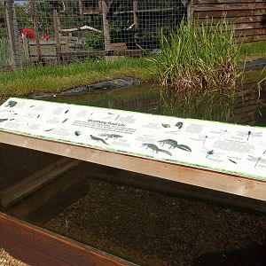 New pond signage, 9th June 2015