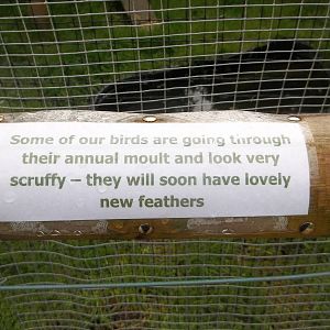 Signage, 8th July 2015