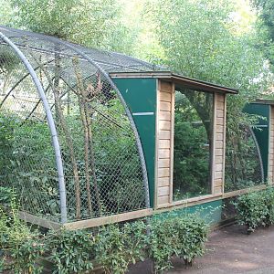 Enclosure Squirrel monkey and Bare-faced curassow