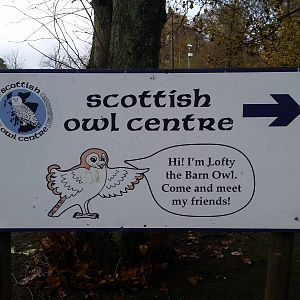 Directional Sign in Car Park