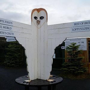 Main Directional Sign