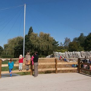 Great South American Aviary