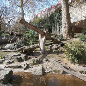 Raccoon/skunk enclosure