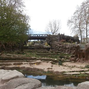Lion enclosure