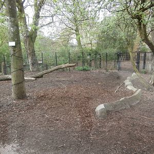 Tapir enclosure