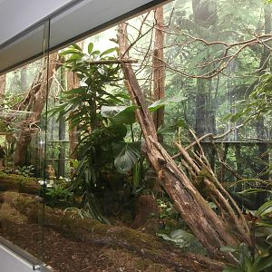 Bird House Goldie's lorikeet enclosure